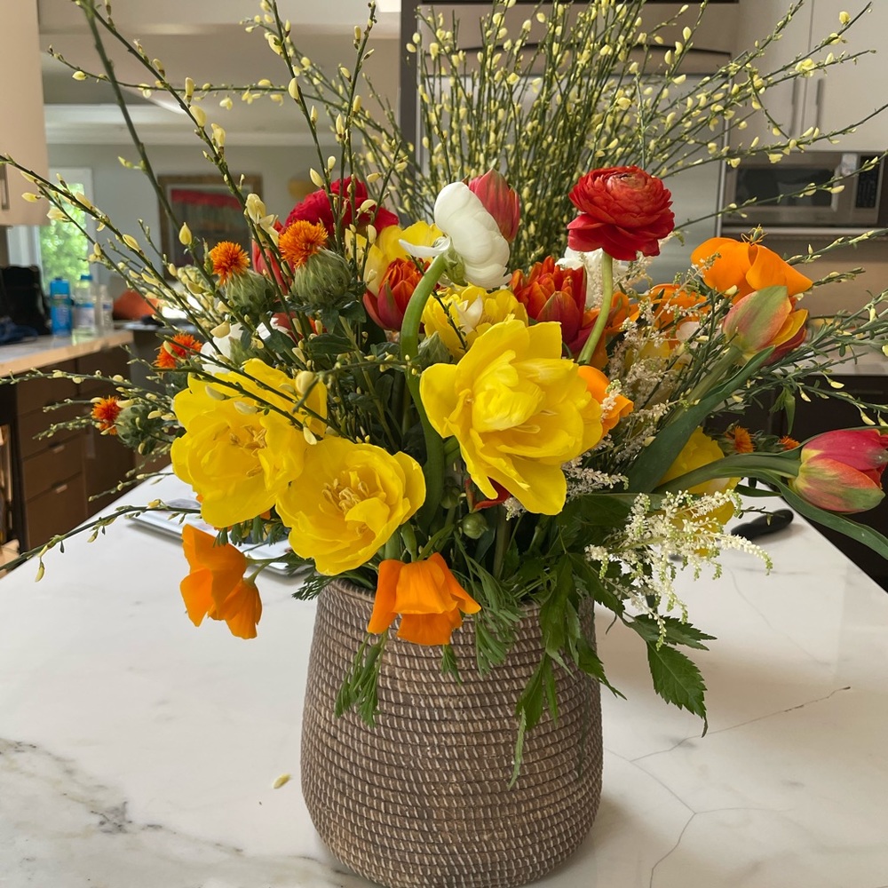 Meet your Posher, Frankie